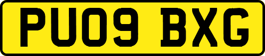 PU09BXG