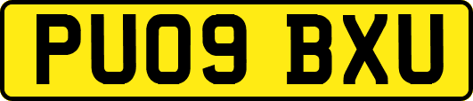 PU09BXU