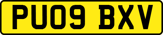 PU09BXV