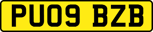 PU09BZB