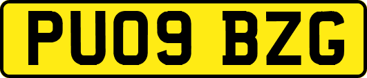 PU09BZG