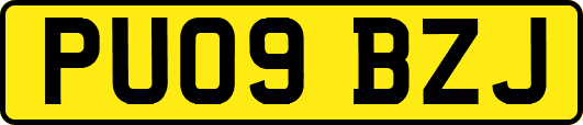 PU09BZJ