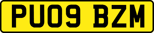 PU09BZM