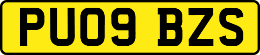 PU09BZS