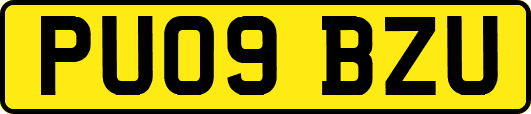 PU09BZU