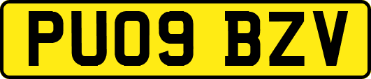 PU09BZV