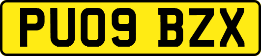 PU09BZX