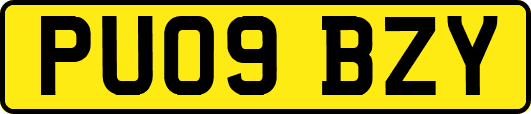 PU09BZY