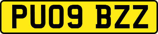 PU09BZZ