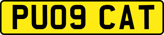 PU09CAT