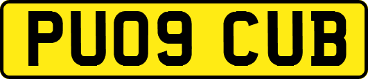 PU09CUB
