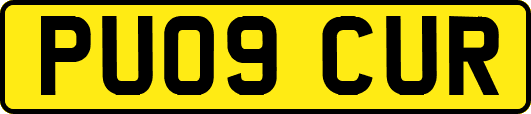 PU09CUR
