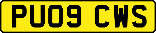 PU09CWS