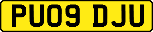 PU09DJU