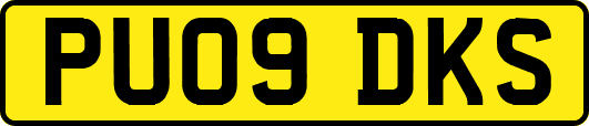 PU09DKS