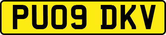 PU09DKV