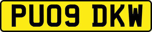 PU09DKW
