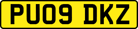 PU09DKZ