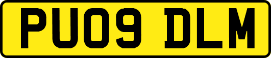 PU09DLM