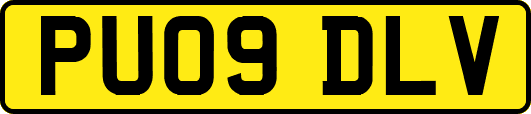 PU09DLV