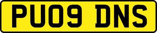 PU09DNS