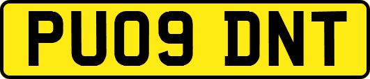 PU09DNT