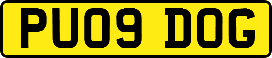 PU09DOG