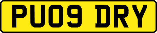 PU09DRY