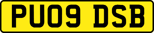 PU09DSB
