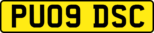 PU09DSC