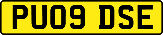PU09DSE