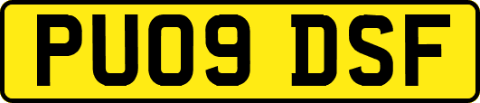 PU09DSF