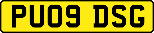 PU09DSG