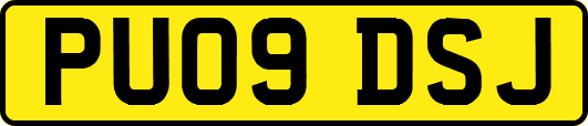 PU09DSJ