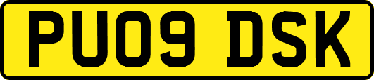 PU09DSK