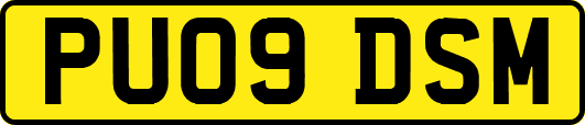 PU09DSM