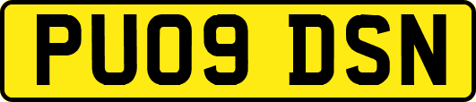 PU09DSN
