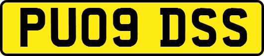 PU09DSS