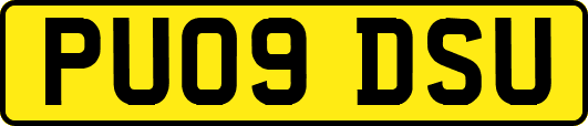 PU09DSU