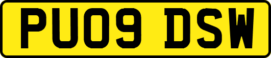 PU09DSW
