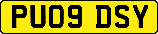 PU09DSY