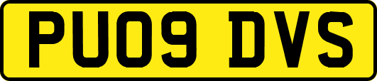 PU09DVS