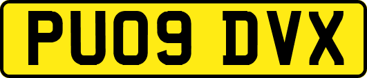 PU09DVX
