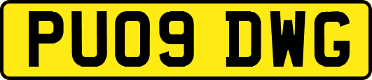 PU09DWG