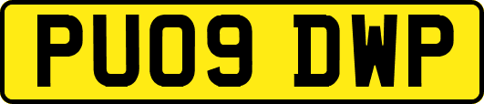 PU09DWP