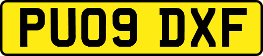 PU09DXF