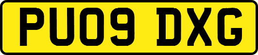 PU09DXG