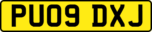 PU09DXJ
