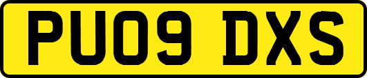 PU09DXS