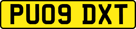 PU09DXT